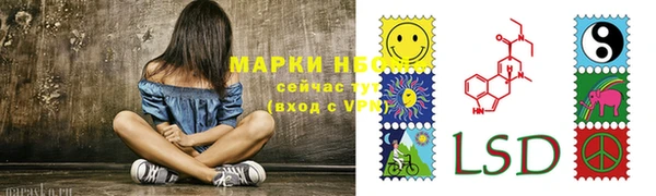 соль ск Елабуга