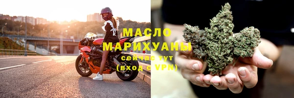 ECSTASY Ельня