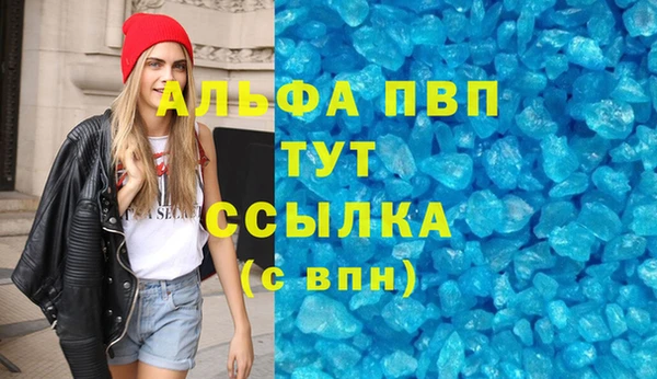 ECSTASY Ельня