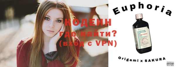 соль ск Елабуга