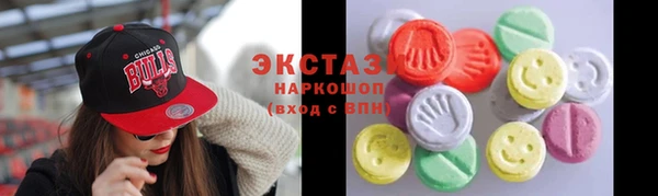 ECSTASY Ельня