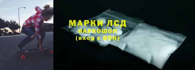 спайс Елизово