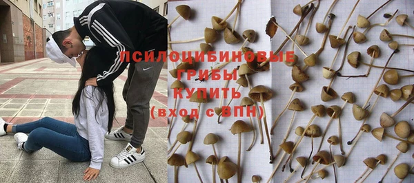 соль ск Елабуга
