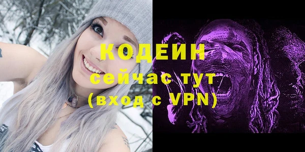соль ск Елабуга