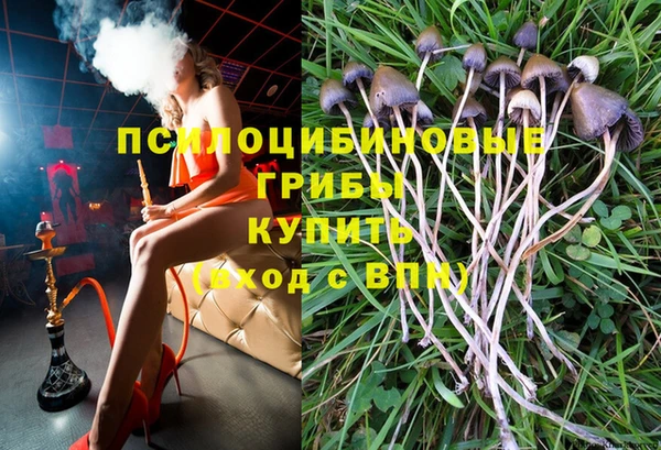соль ск Елабуга