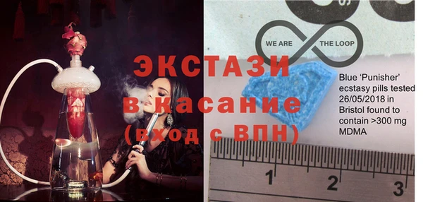 ECSTASY Ельня