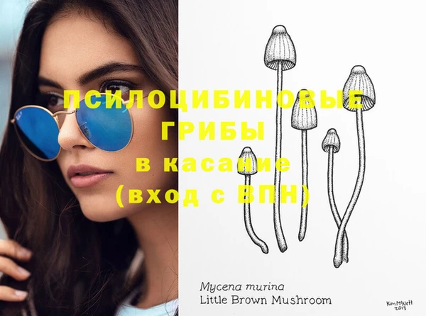спайс Елизово