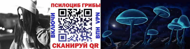 Галлюциногенные грибы Psilocybine cubensis  купить  цена  hydra tor  Северобайкальск 